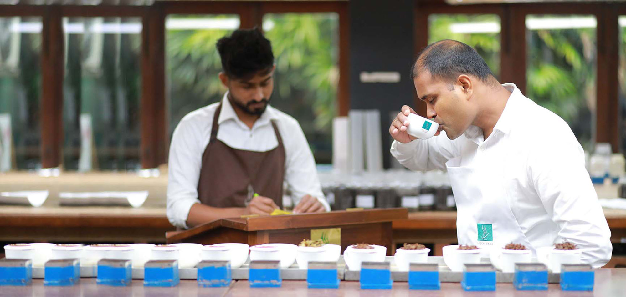 tasting tea