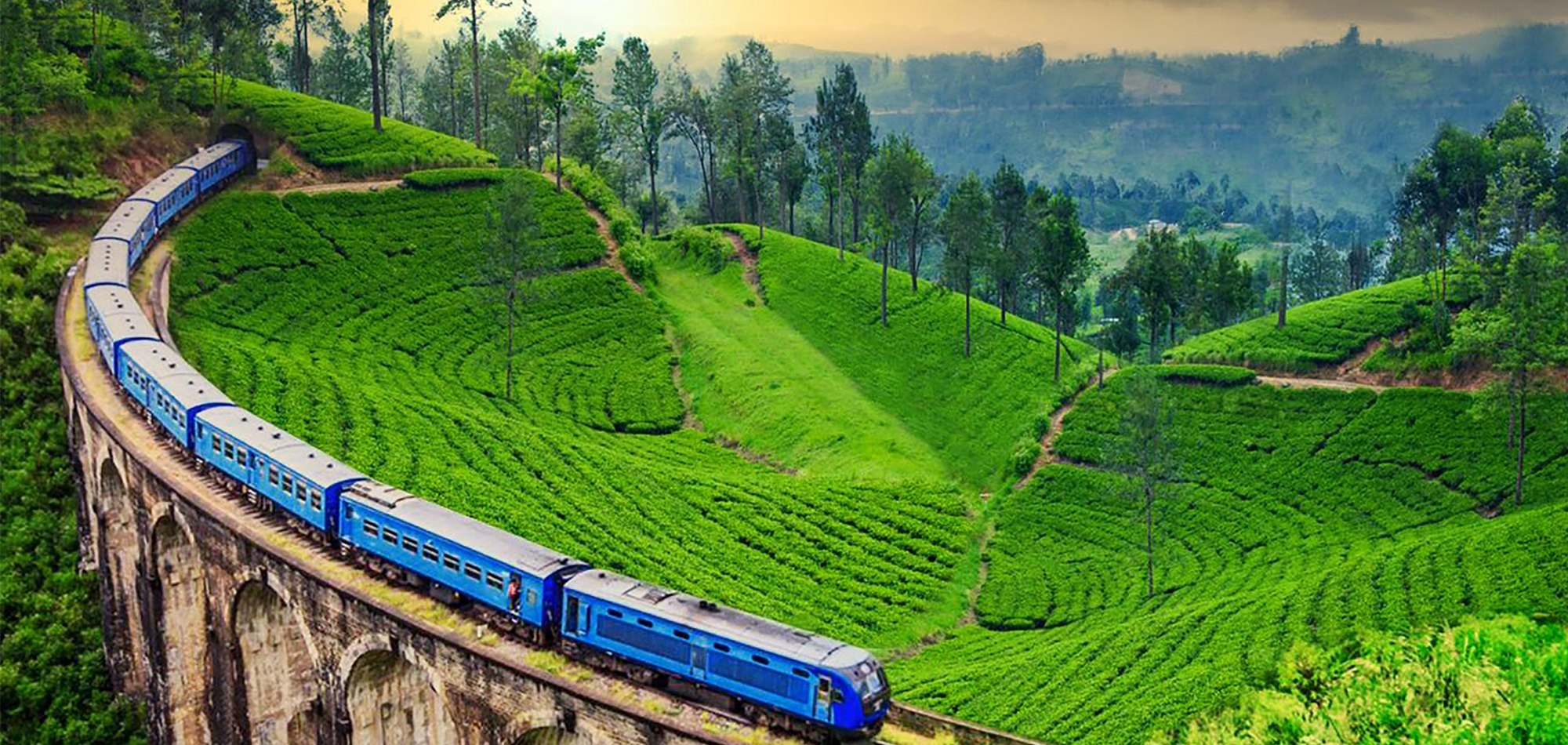 train